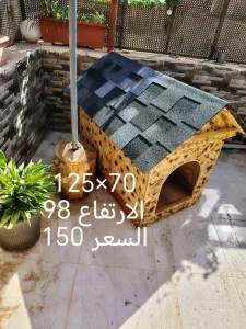 wooden house for dogs different types and sizes isolated from water and warm 10