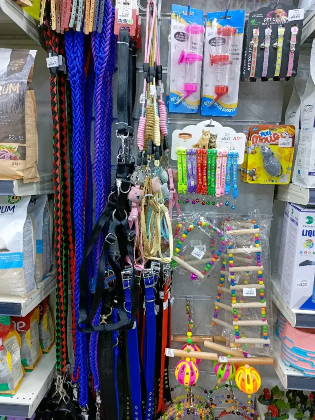 Snoopy pets Shop 9