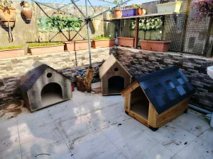 wooden house for dogs different types and sizes isolated from water and warm 2