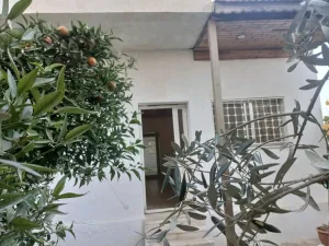 شقة أرضية مع ترس  غرفتين للايجار للعرسان 2