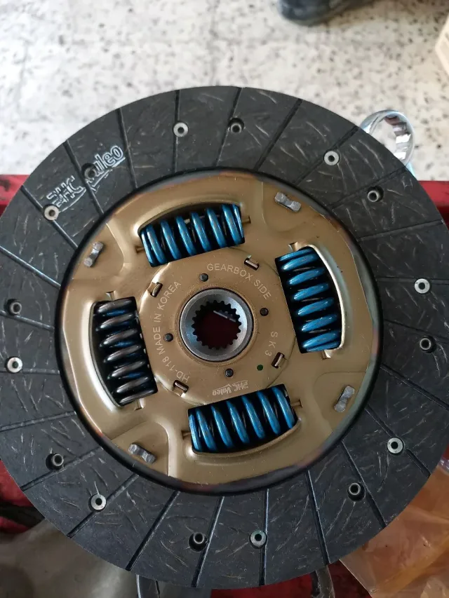 autoshark 2