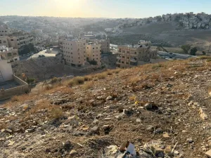 أرض للبيع في ماركا الشمالية موقع وسعر مميز 3