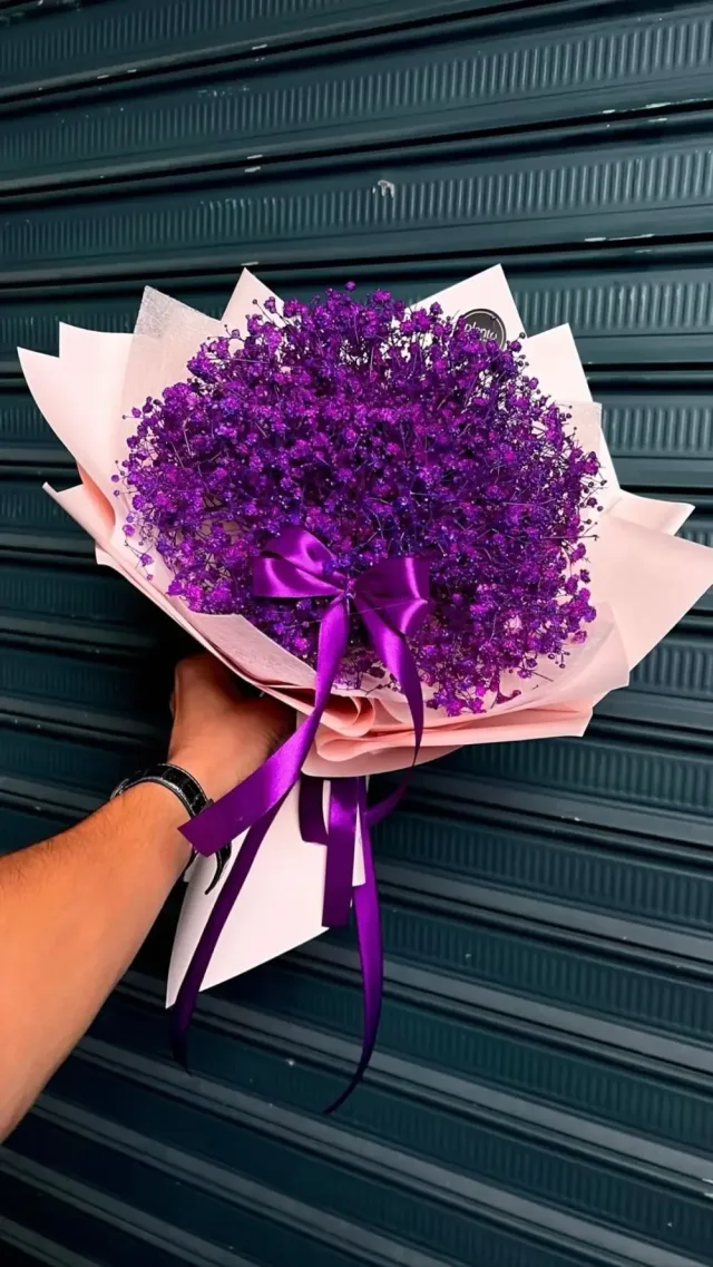 Planto Flowers - ازهار بلانتو