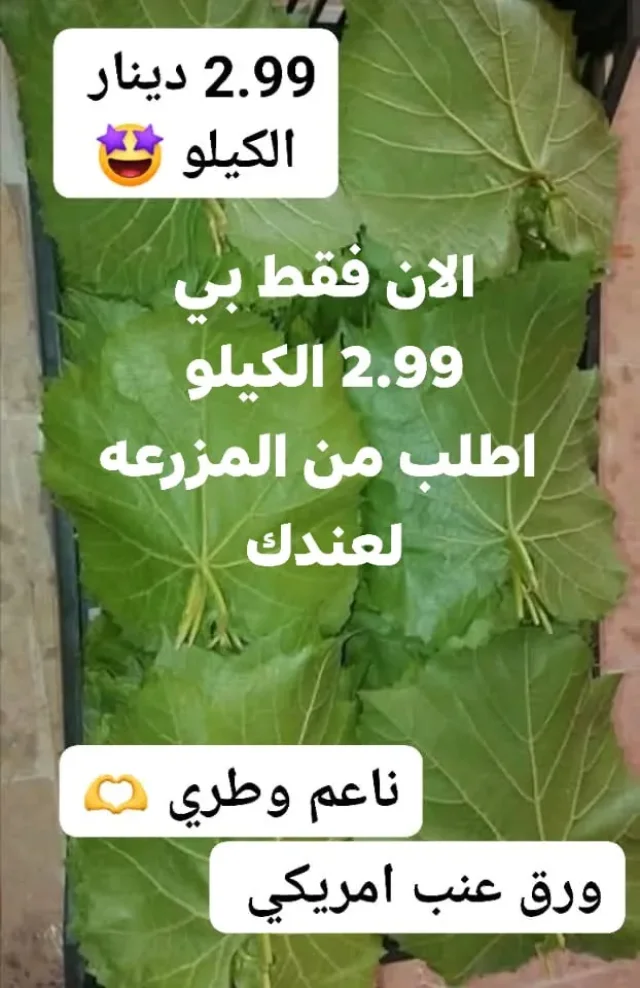 مزارع رهف 2