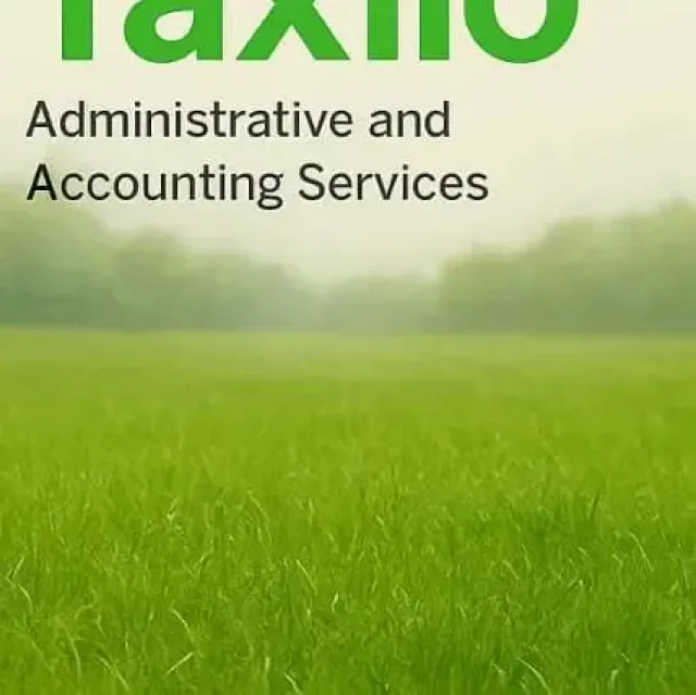 Taxilo for accounting services 2