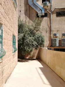شقة أرضية 2