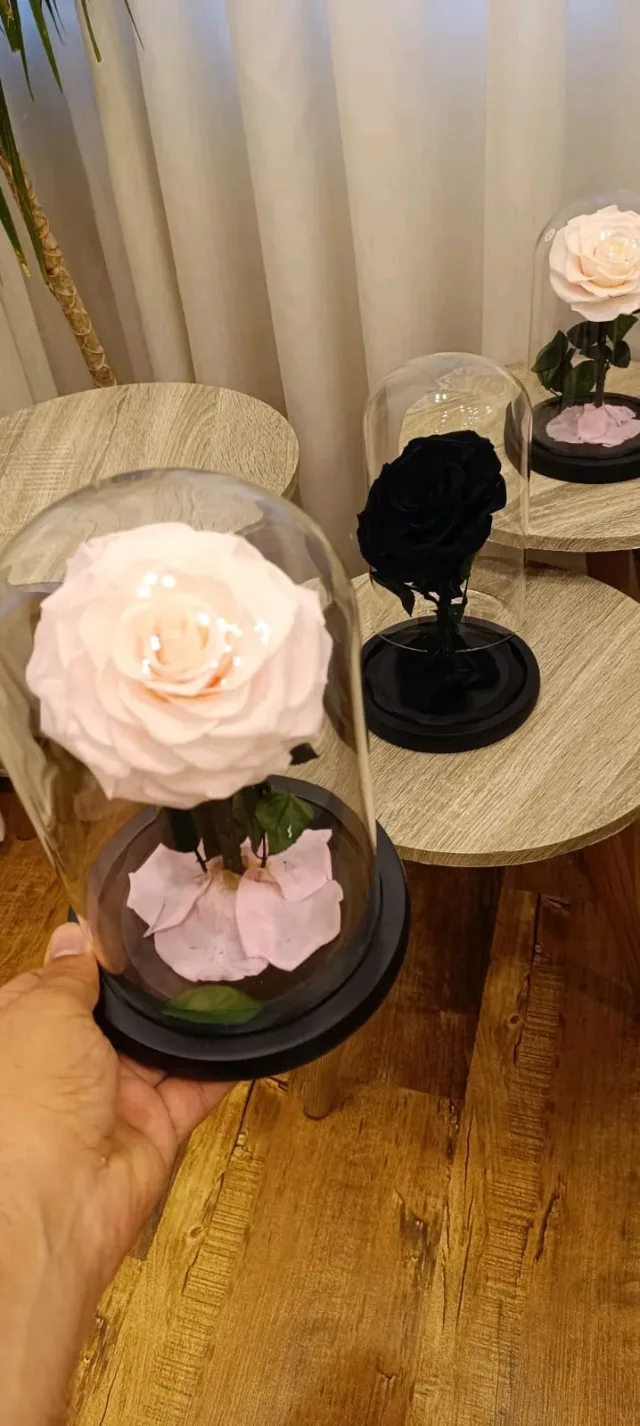 Forever rose Jo 6