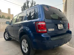 فورد اسكيب هايبرد للبيع فحص ٢ جيد خلفي 10