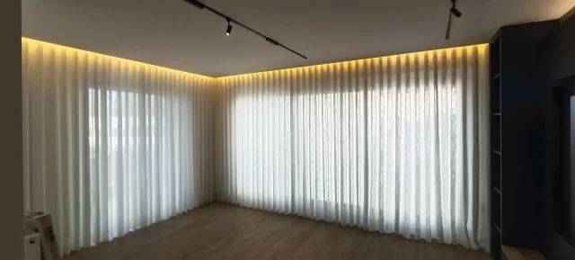 شاهين