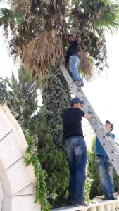 الرنتيسي للحدائق 3