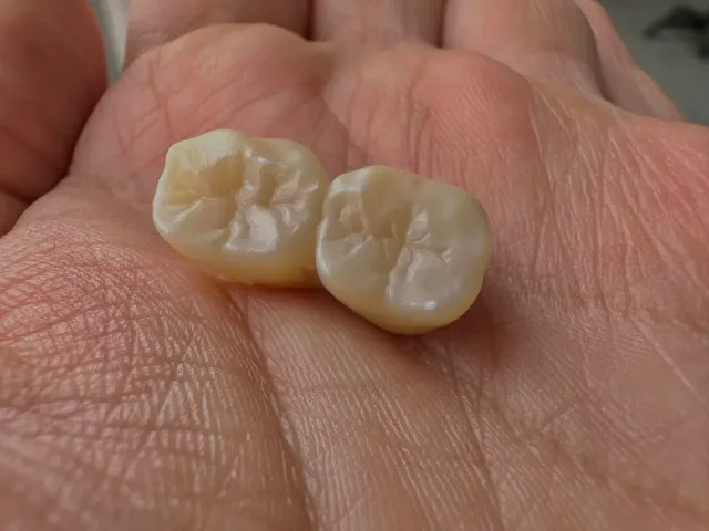 TAJ Dental Lab 9