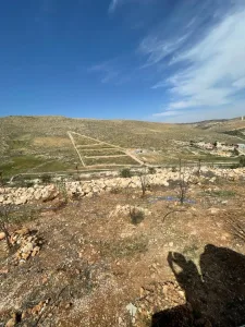 مزرعه مميزه للبيع