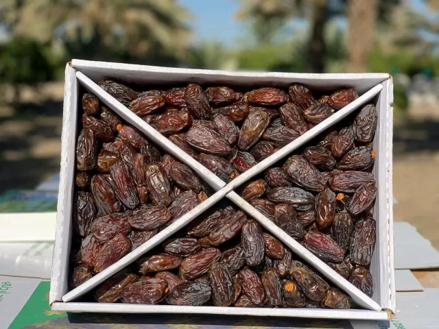 تمور الغيث Al-Ghaith Dates 4