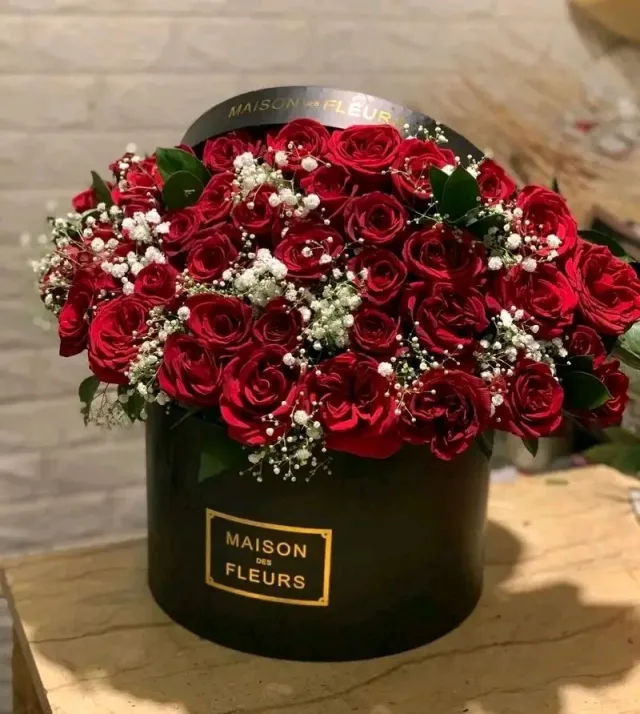 M. B ROSE 5