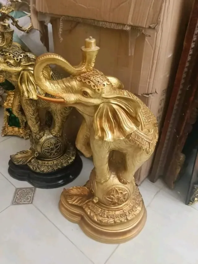فادي الفقيه 12