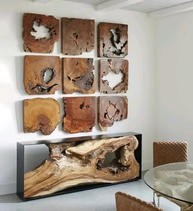 Root Wood 11