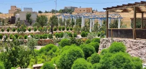 مزرعة للبيع طريق المطار 12