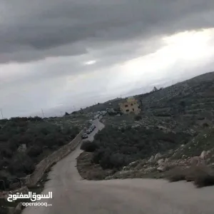 أرض للبيع في السلط( بطنة حوض أم رمانة)، تصلح لبناء مزرعة او فيلا سكنية. 5
