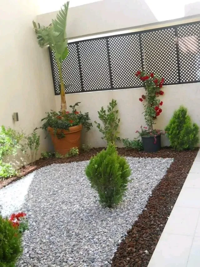 تنسيق الحدائق 3