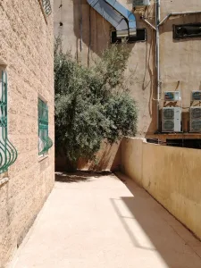 شقة أرضية 5