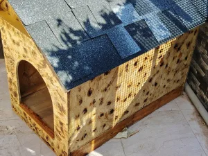wooden house for dogs different types and sizes isolated from water and warm 4