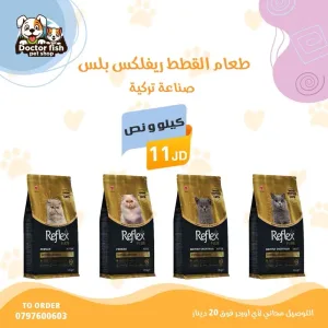 اكل قطط 6