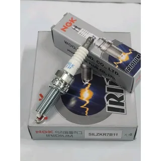 بواجي ngk MD