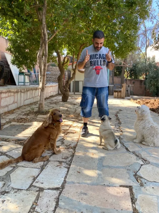 joseph almasri dog trainer 6