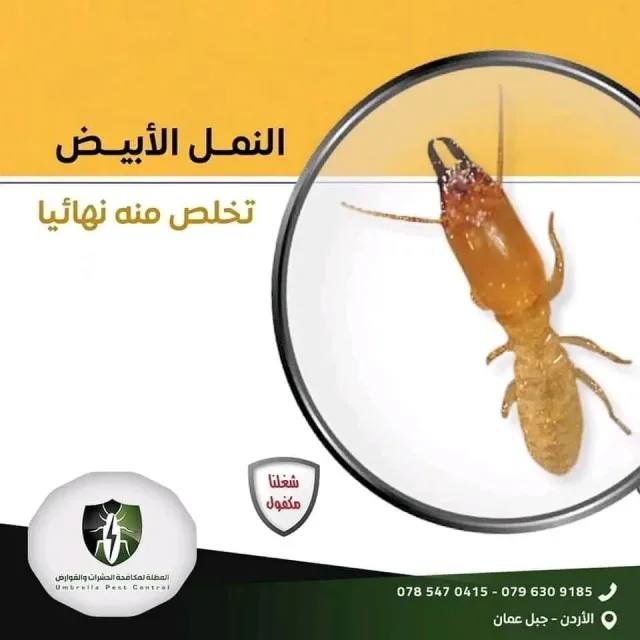 المظلة لمكافحة الحشرات والقوارض 6