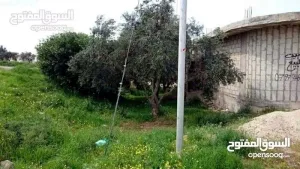 بيت عظم مسطح كبير بقريه الطيبه اربد للبيع بسعر مغري 5