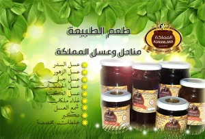 مناحل وعسل المملكه٠٧٧٢١٣٥١٤٣ 2