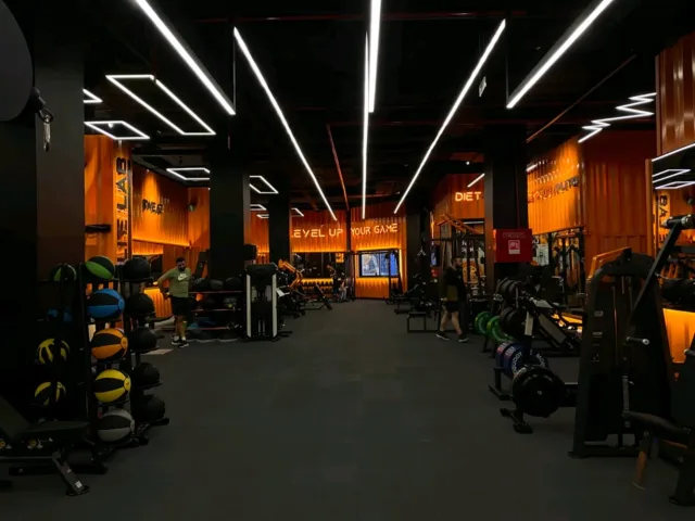 elite lab gym 13