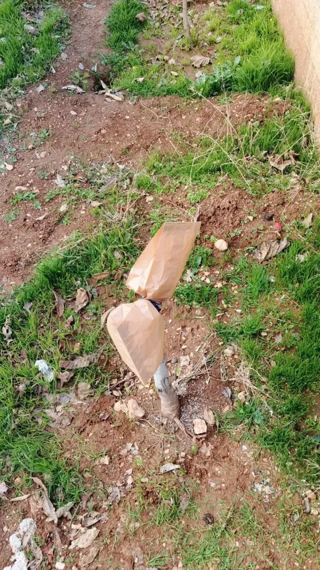 ابو ورد لتنسيق الحدائق 12