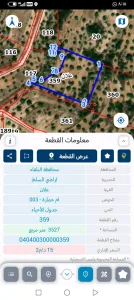 ارض بالسلط - قرية علان 5