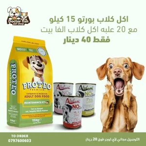 اكل قطط وكلاب 14