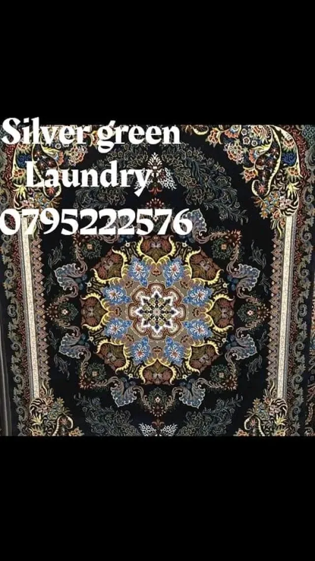silver green laundry 6