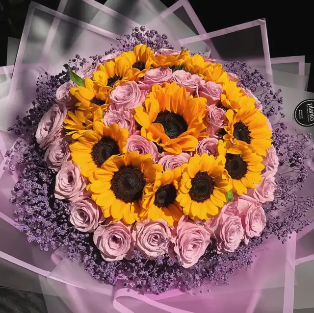 Planto Flowers - ازهار بلانتو