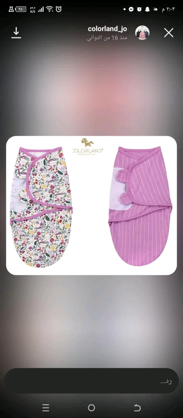 colorland_jo 6