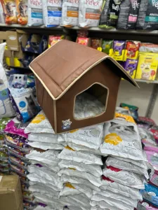 ‏بيت قطط 4