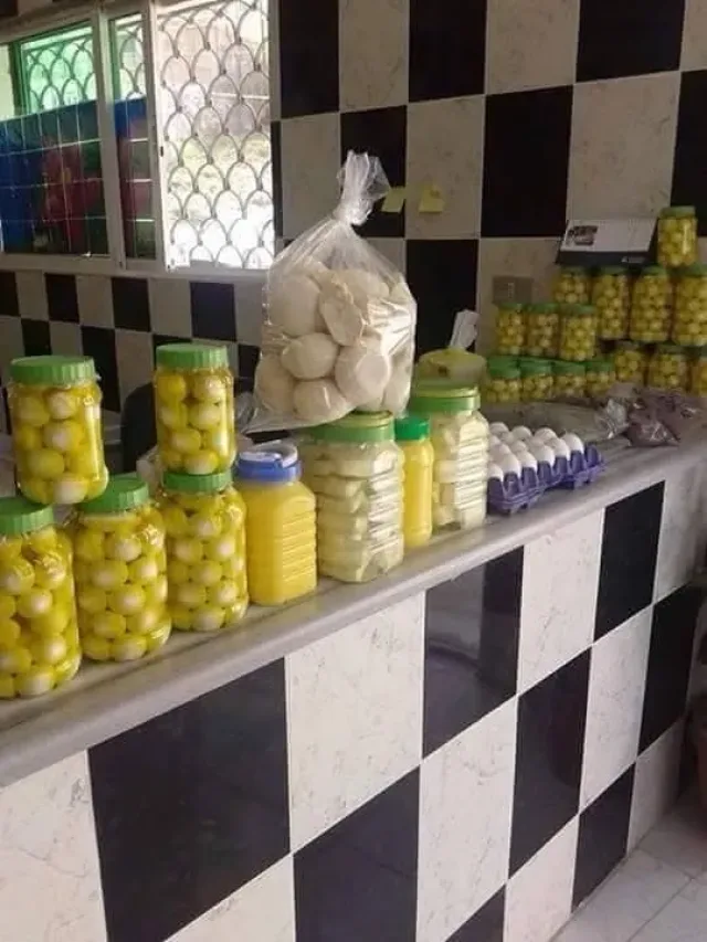 الشِكوه ألريفيه للألبان