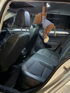 E-Golf Premium SEL 2019 اعلى صنف واعلى فئة كامل المواصفات - تشغيل بصمة + رادار 7