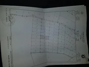 ٣٢ دونم ونص للبيع في الغور