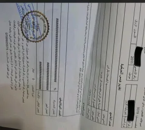 شفر كروز 5