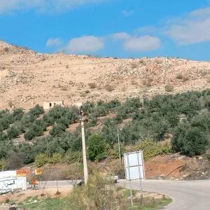 ارض للبيع في منطقه القنيه 3