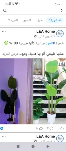فتحات كور قص باطون افضل خدمة 11