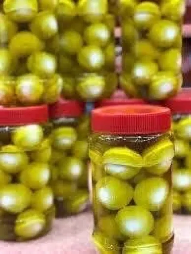 الشِكوه ألريفيه للألبان