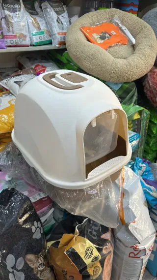 اكسوارت