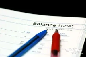 أستاذ محاسبة و اقتصاد حاصل على الامتياز لطلاب الجامعات 12