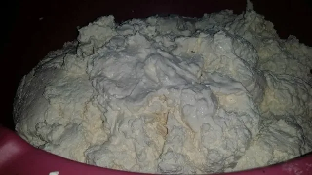 الشِكوه ألريفيه للألبان