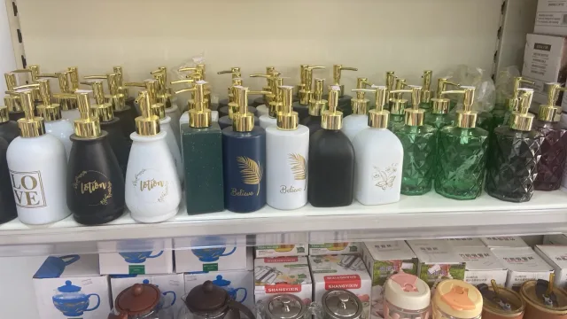 نجمة الواحة oasis star
